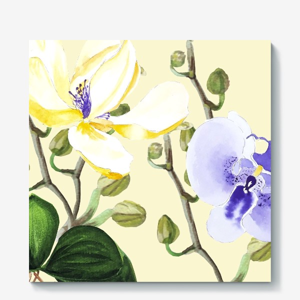 Холст «Орхидеи»