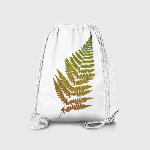Рюкзак «Растение папоротник, природа, гербарий, лес»