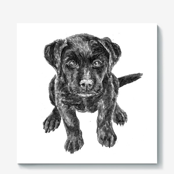 Холст «Щенок лабрадора черный собака»