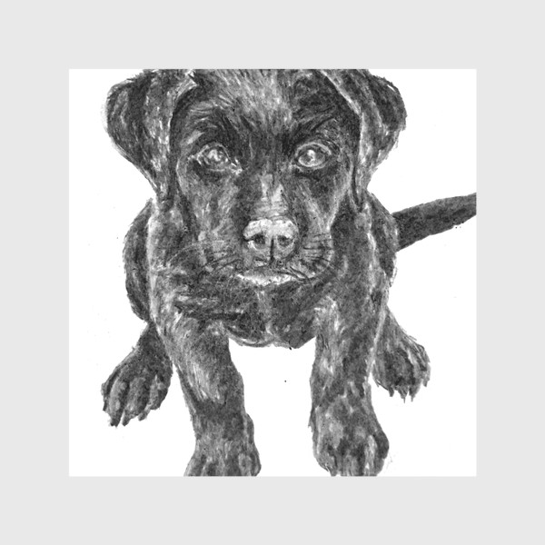 Скатерть «Щенок лабрадора черный собака»