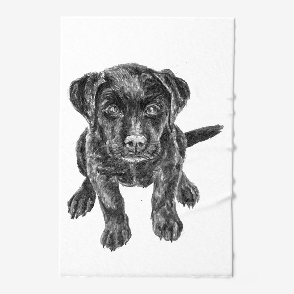 Полотенце «Щенок лабрадора черный собака»